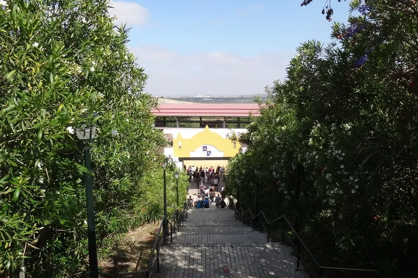 A paved path lined with oleander bushes and old street lamps rising towards a yellow arena building